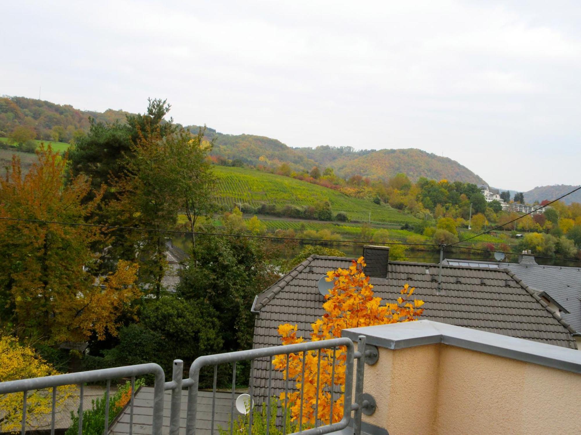 Moselschoen Das Ferienhaus Brodenbach Δωμάτιο φωτογραφία