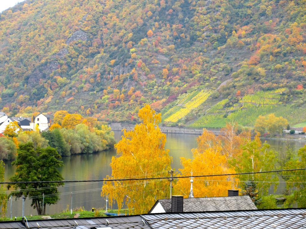 Moselschoen Das Ferienhaus Brodenbach Δωμάτιο φωτογραφία